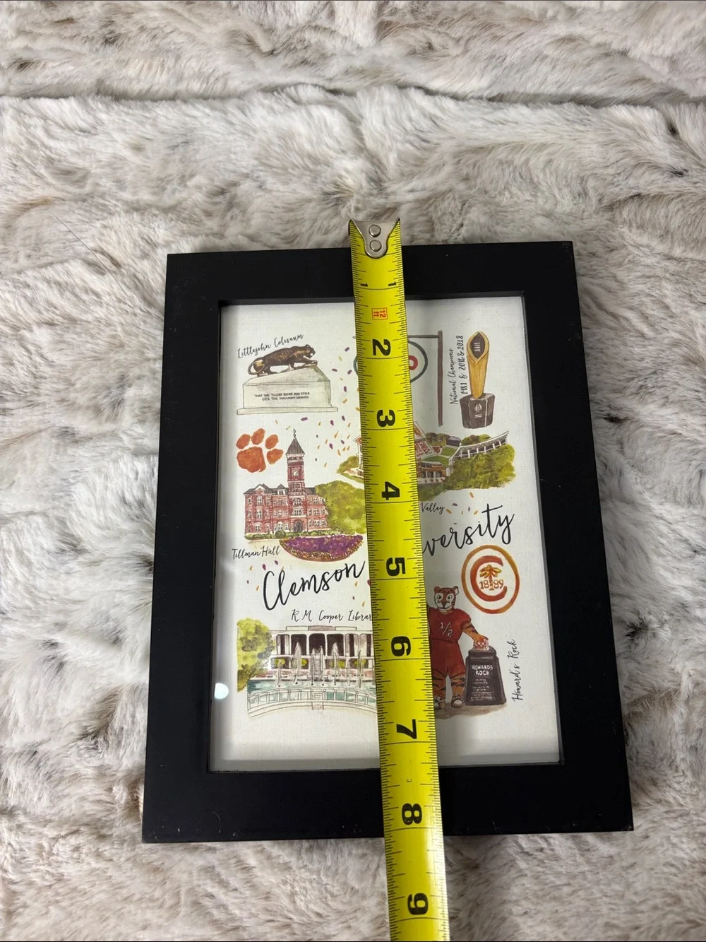 Clemson University Illustrated Art Print in Black Frame - Orange & Green Accents